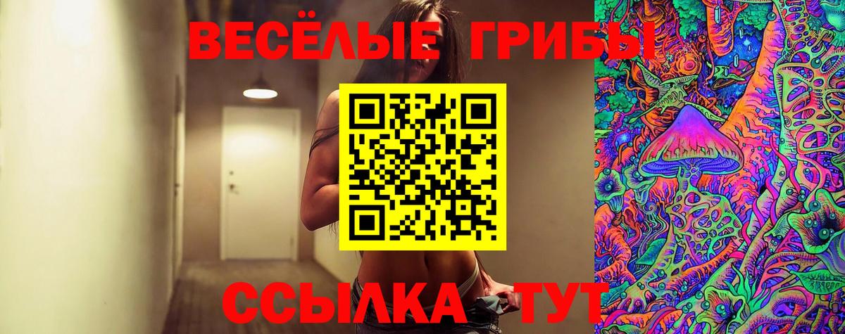 Псилоцибиновые грибы ЛСД Родники