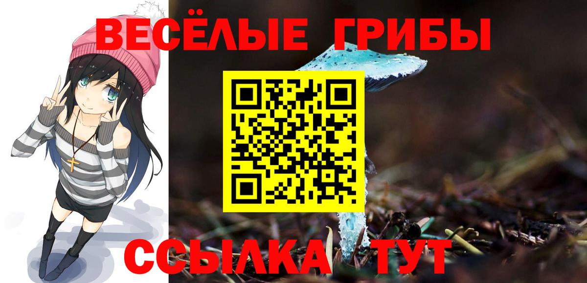 Родники  Псилоцибиновые грибы MAGIC MUSHROOMS  Вход с VPN 
